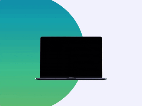 Web Design & Development